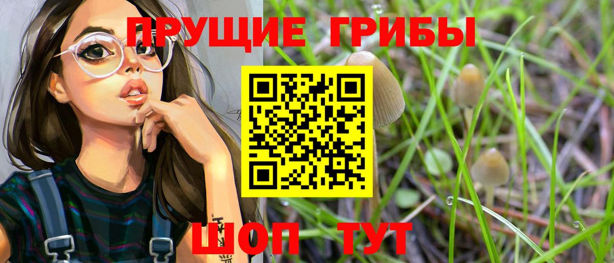 Галлюциногенные грибы мухоморы  Вход с VPN  Елец 